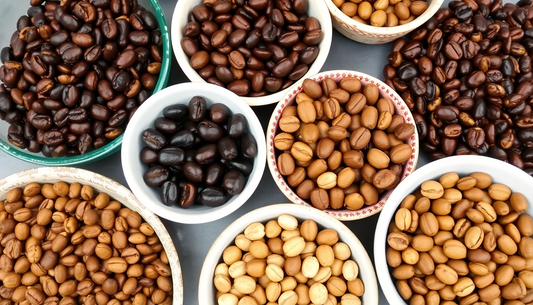 Discover the Rich Tastes of Single-Origin Coffee: Elevate Your Brewing Experience with Our Curated Selection in 2026