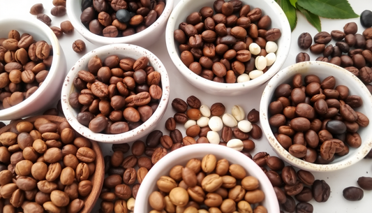 Discover the Art of Single-Origin Coffee: Elevate Your Daily Brew with Our Premium Collection